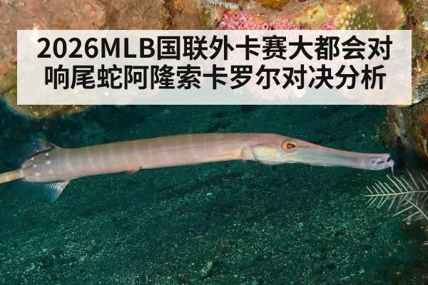 2026MLB国联外卡赛大都会对响尾蛇阿隆索卡罗尔对决分析
